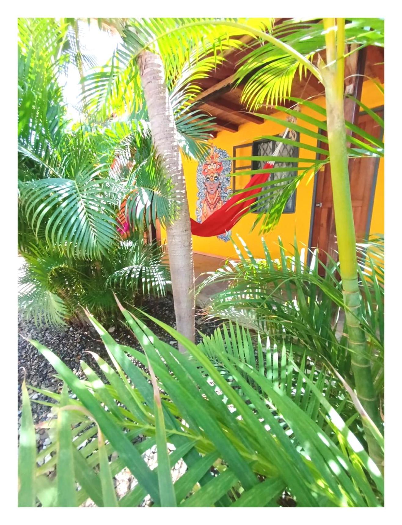 Hotel Casa Naranja Máncora Exteriér fotografie